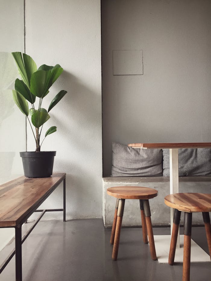 Crafting Captivating Headlines: Your awesome post title goes here A minimalist, modern indoor seating area with wooden furniture and a potted plant, perfect for a cozy home interior.